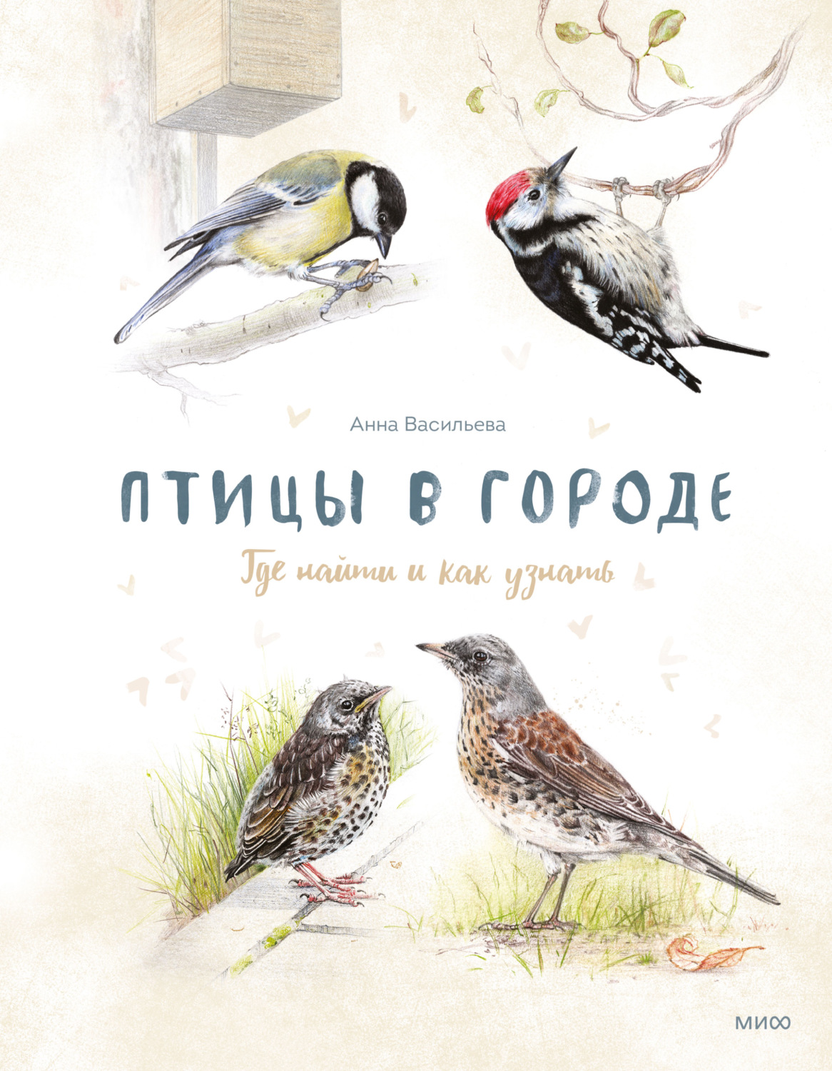 Обложка книги «Птицы в городе. Где найти и как узнать»