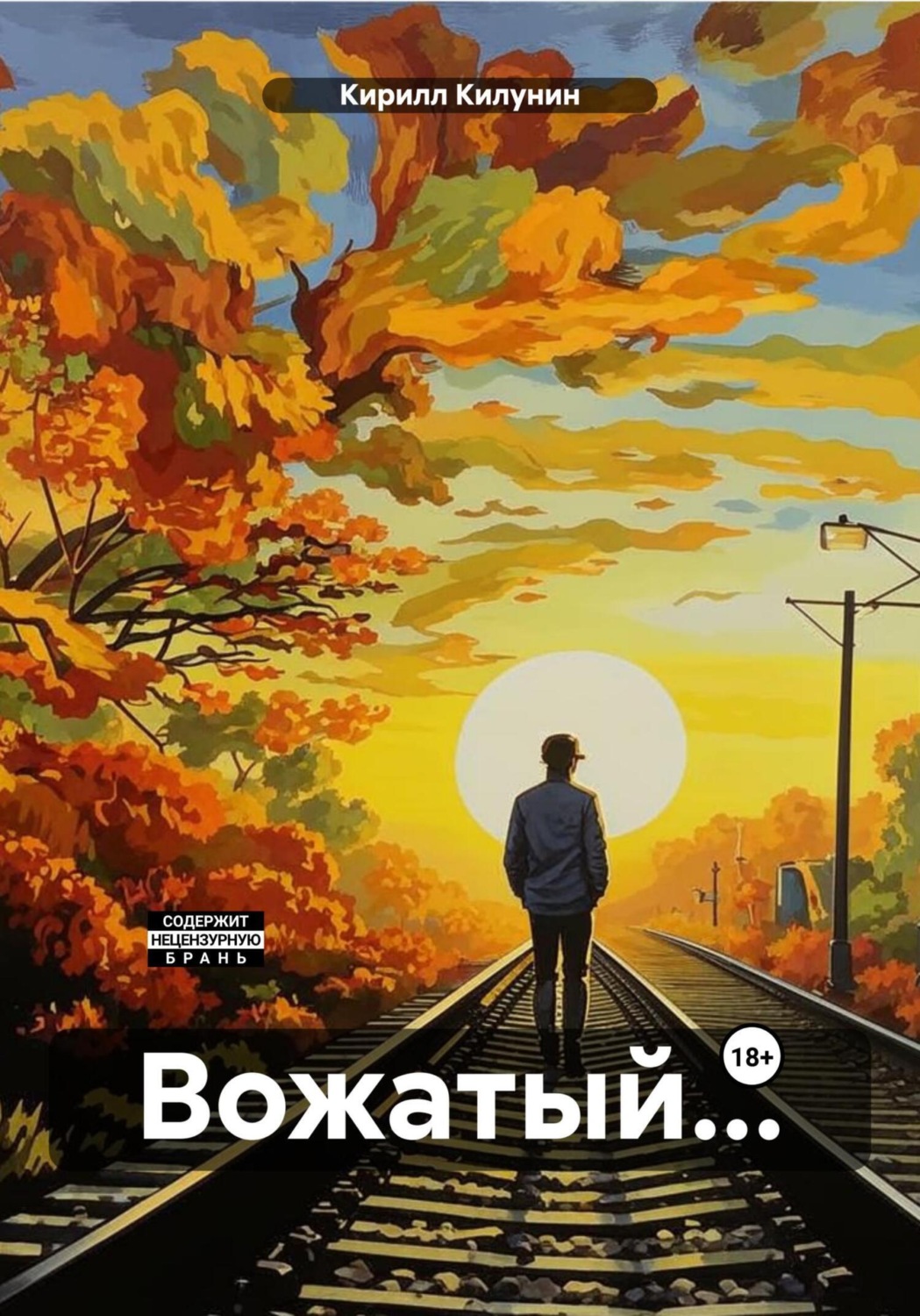 Обложка книги «Вожатый…»