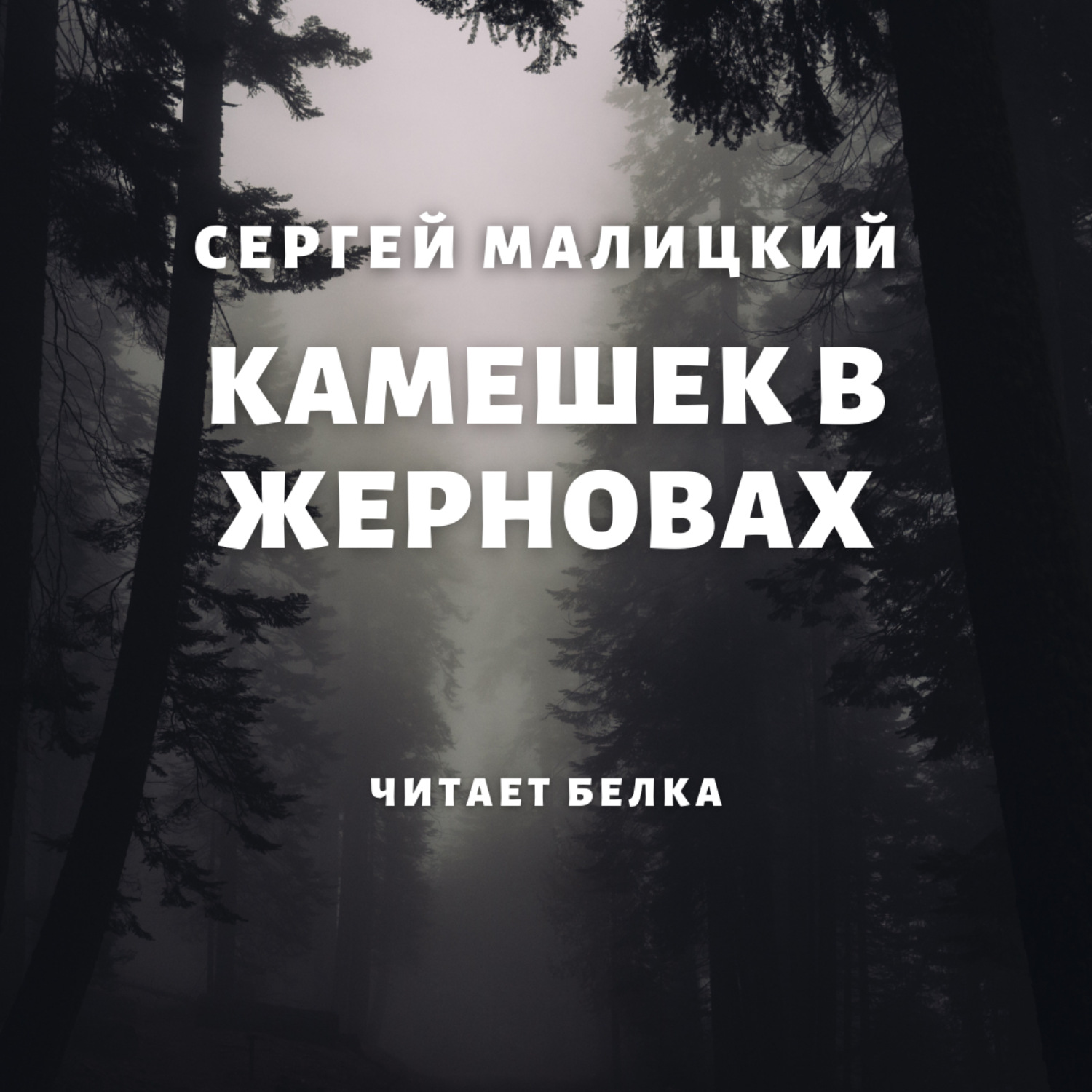 Обложка книги «Камешек в жерновах»
