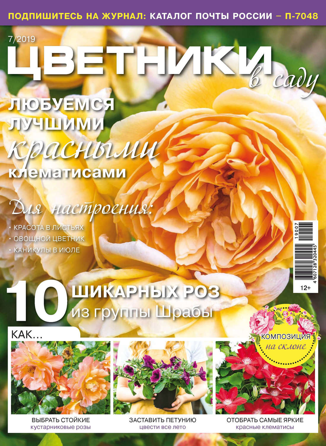 Обложка книги «Цветники в саду №07/2019»
