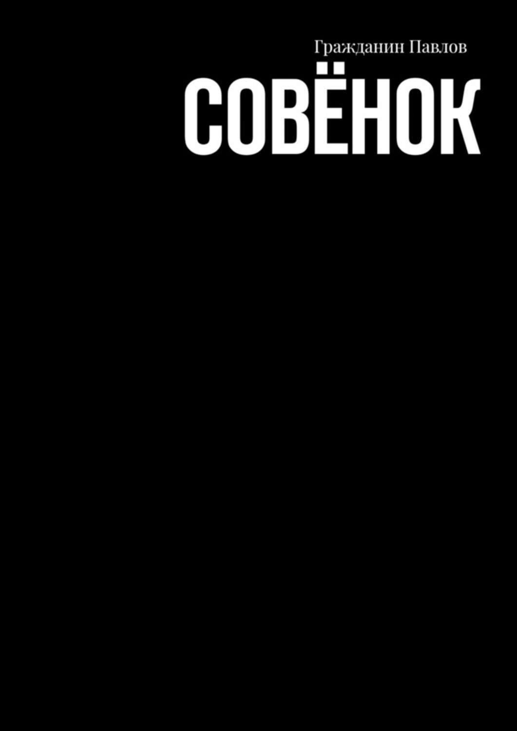 Обложка книги «Совёнок»