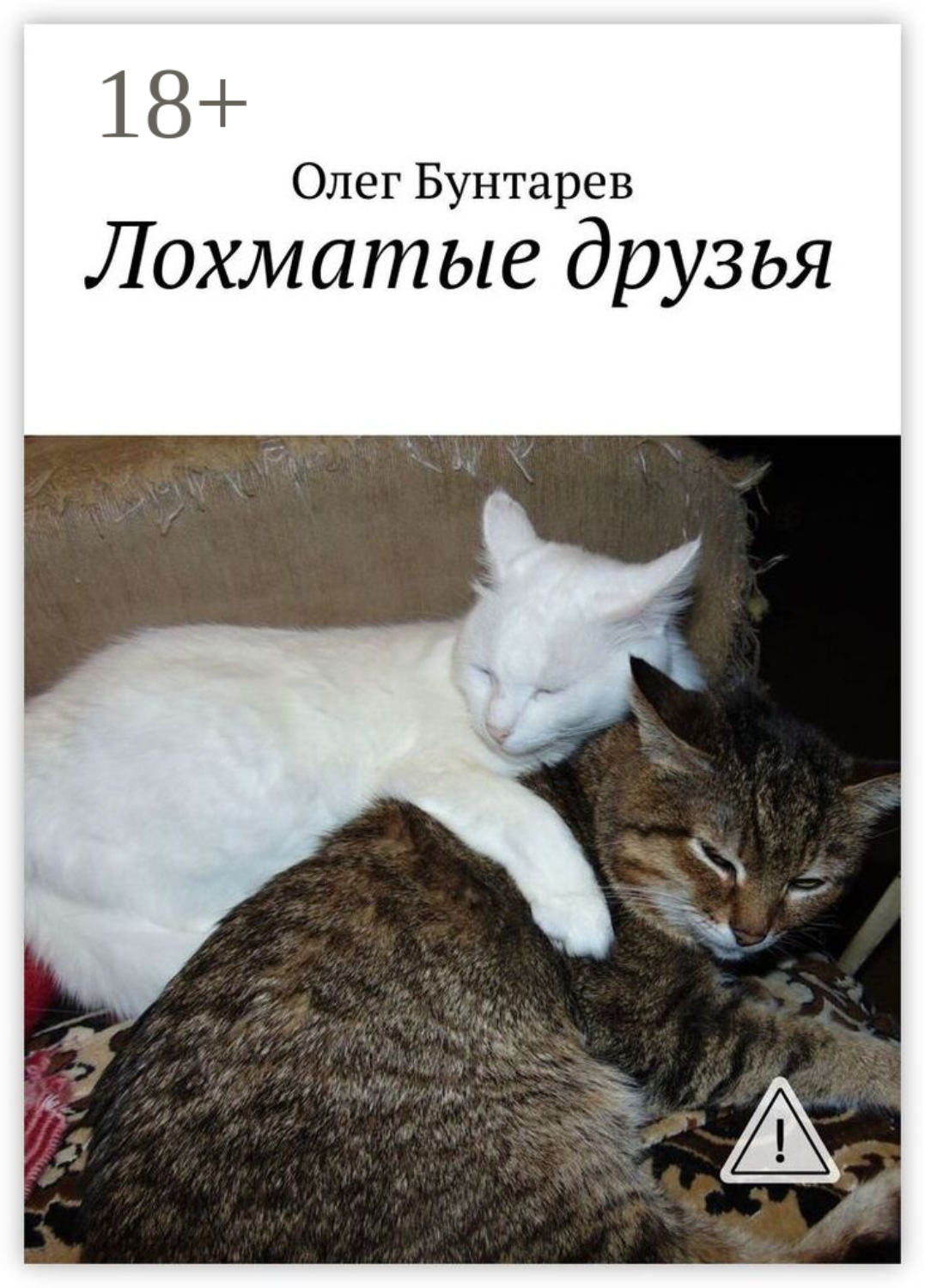 Обложка книги «Лохматые друзья»