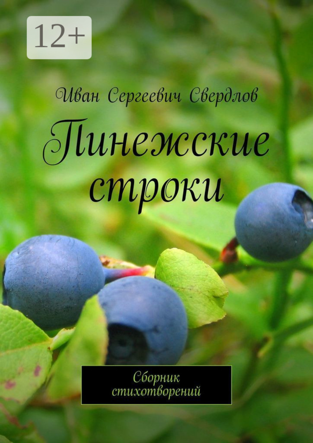 Обложка книги «Пинежские строки. Сборник стихотворений»