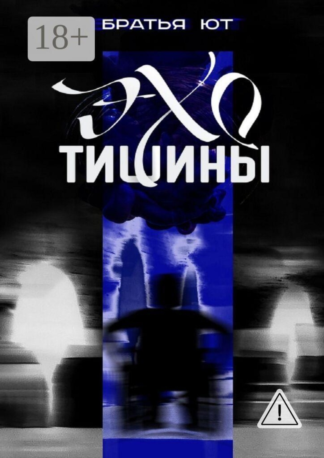 Обложка книги «Эхо тишины»
