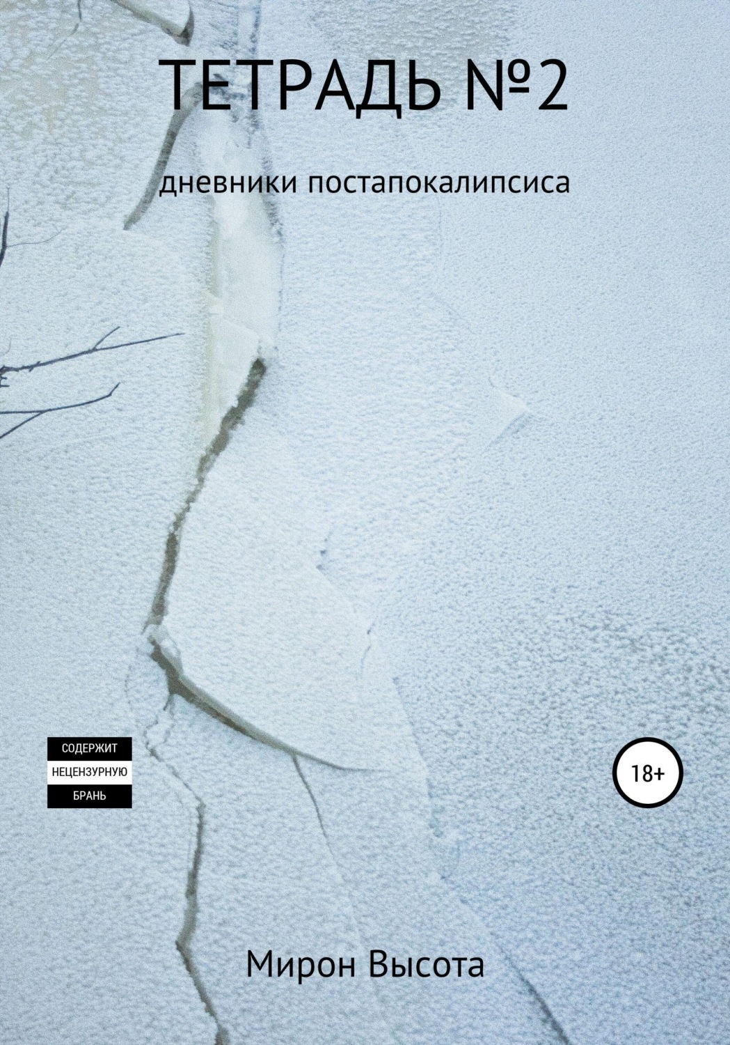 Обложка книги «Тетрадь №2. Дневники постапокалипсиса»