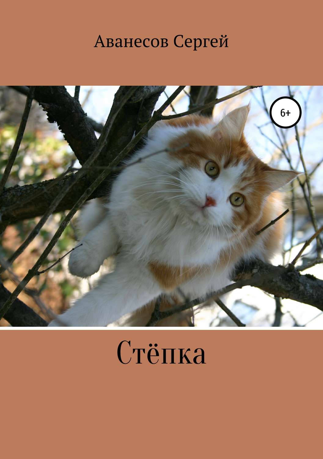 Обложка книги «Степка»