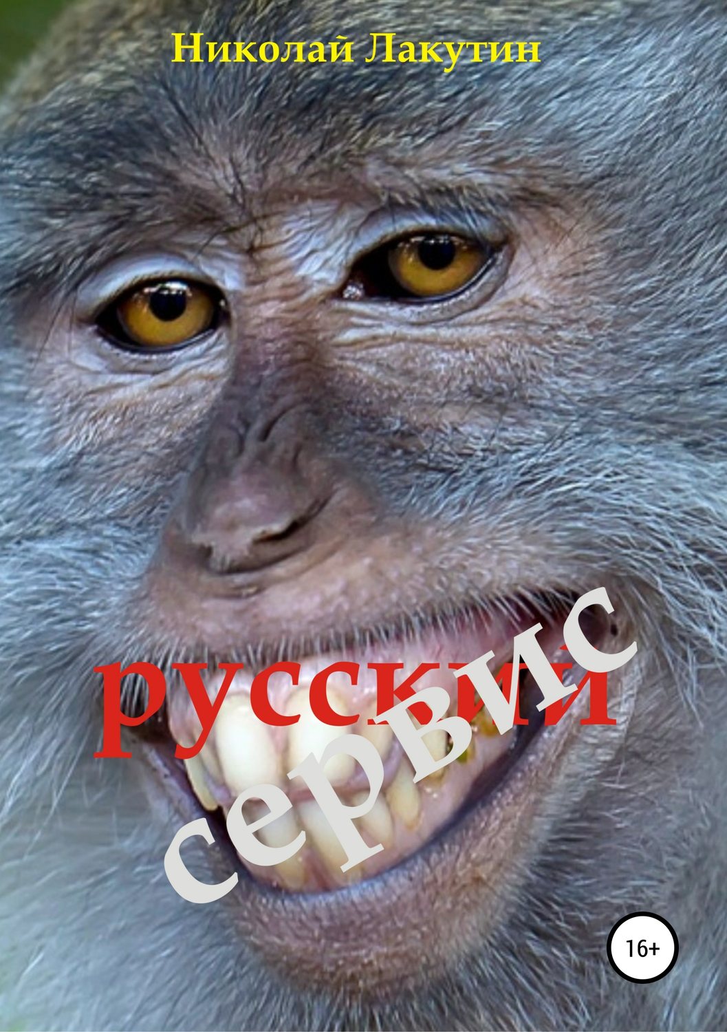 Обложка книги «Русский сервис»