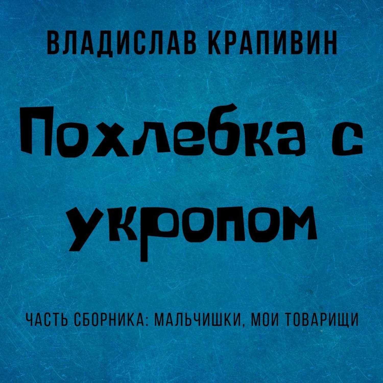 Обложка книги «Похлебка с укропом»