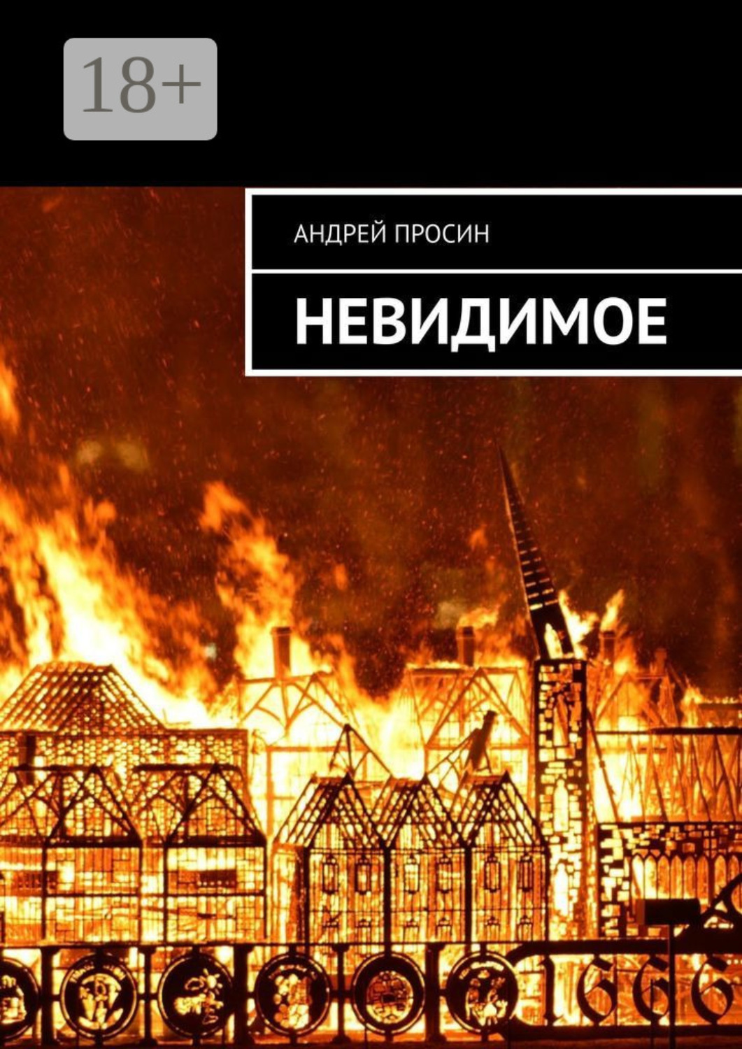 Обложка книги «Невидимое»