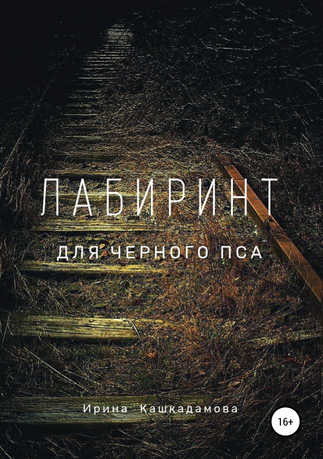 Обложка книги «Лабиринт для черного пса»