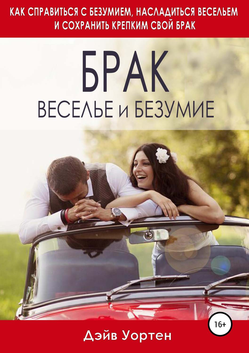 Обложка книги «Брак, веселье и безумие»