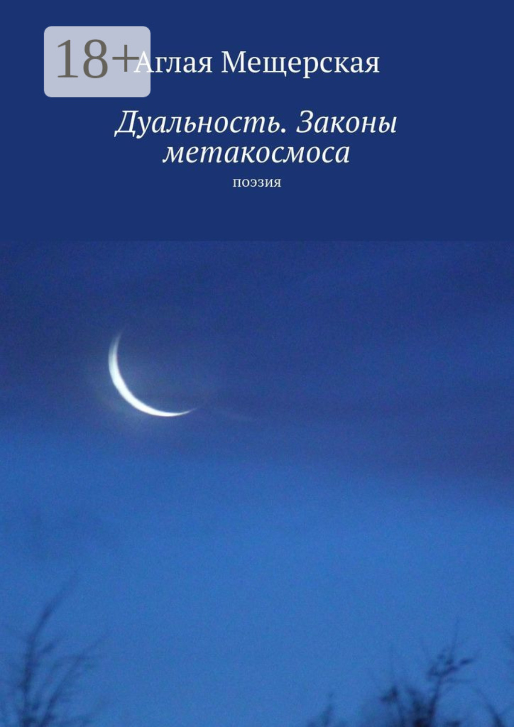 Обложка книги «Дуальность. Законы метакосмоса. Поэзия»