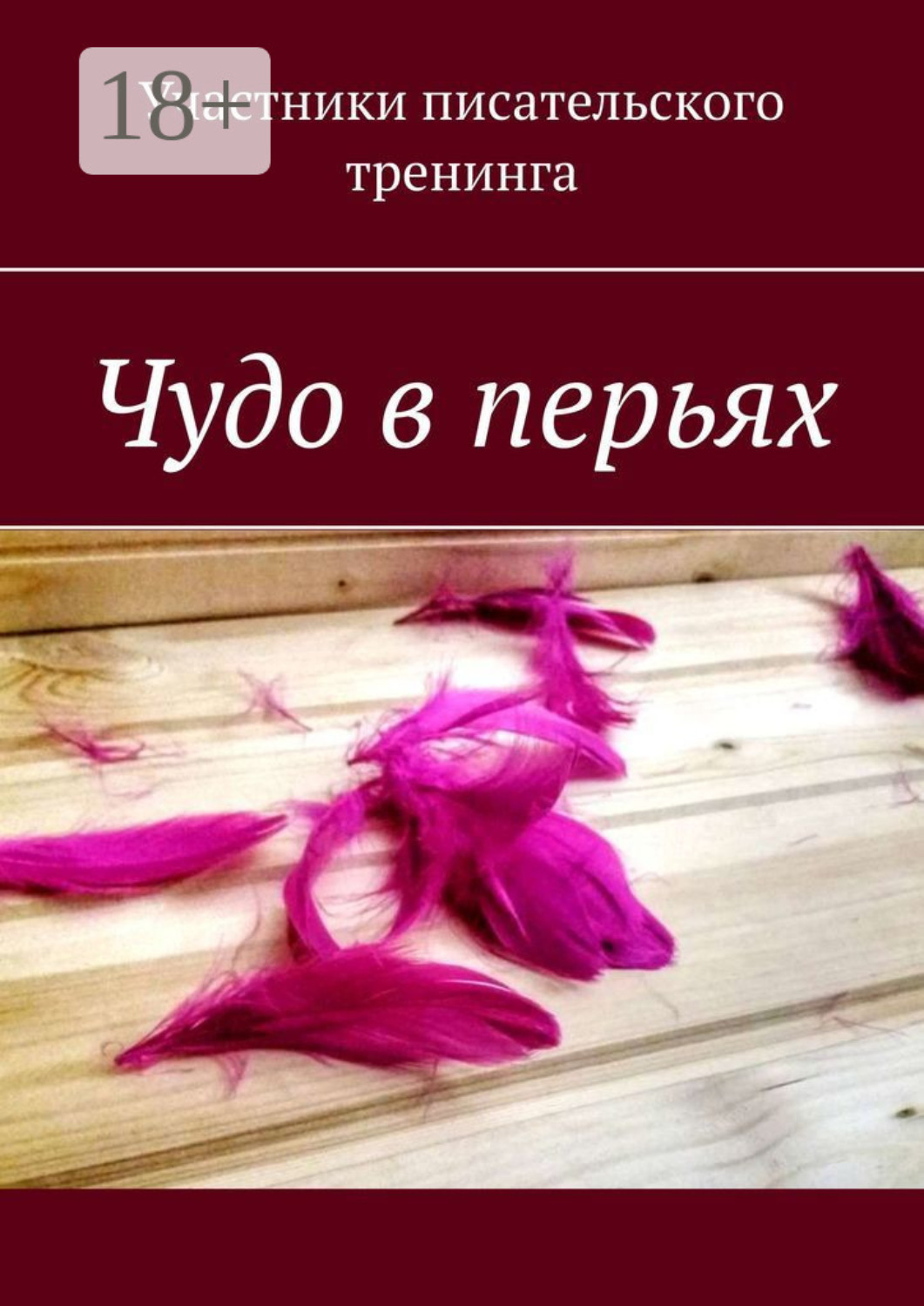 Обложка книги «Чудо в перьях. Сборник серьезных и сказочных историй»