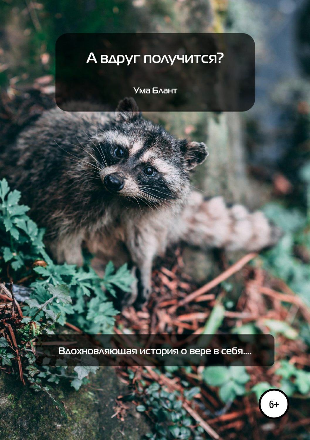Обложка книги «А вдруг получится?»