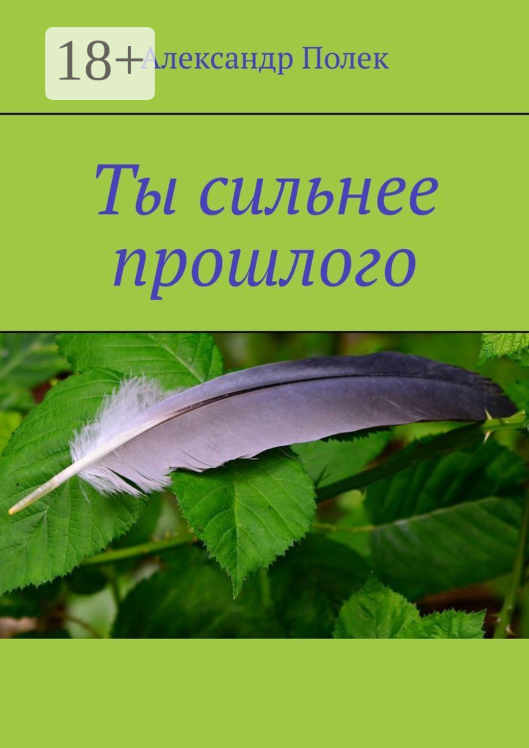 Обложка книги «Ты сильнее прошлого»