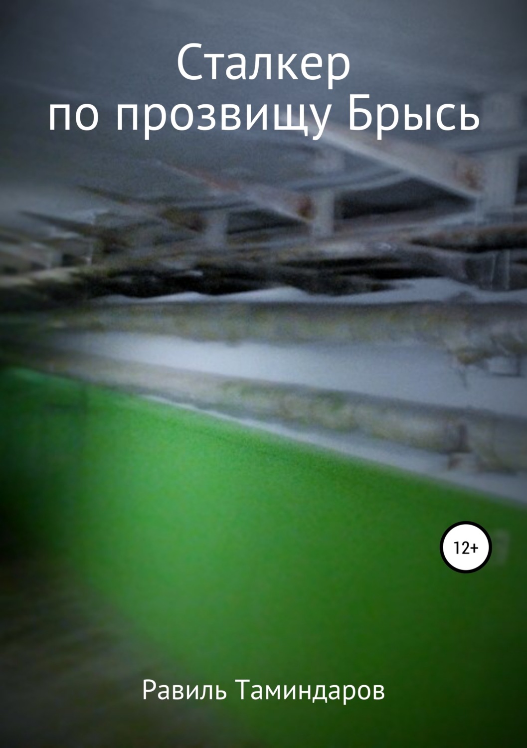 Обложка книги «Сталкер по прозвищу Брысь»