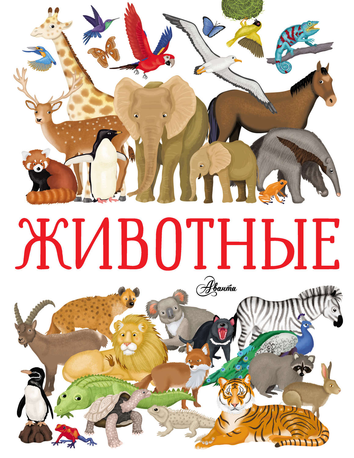 Обложка книги «Животные»