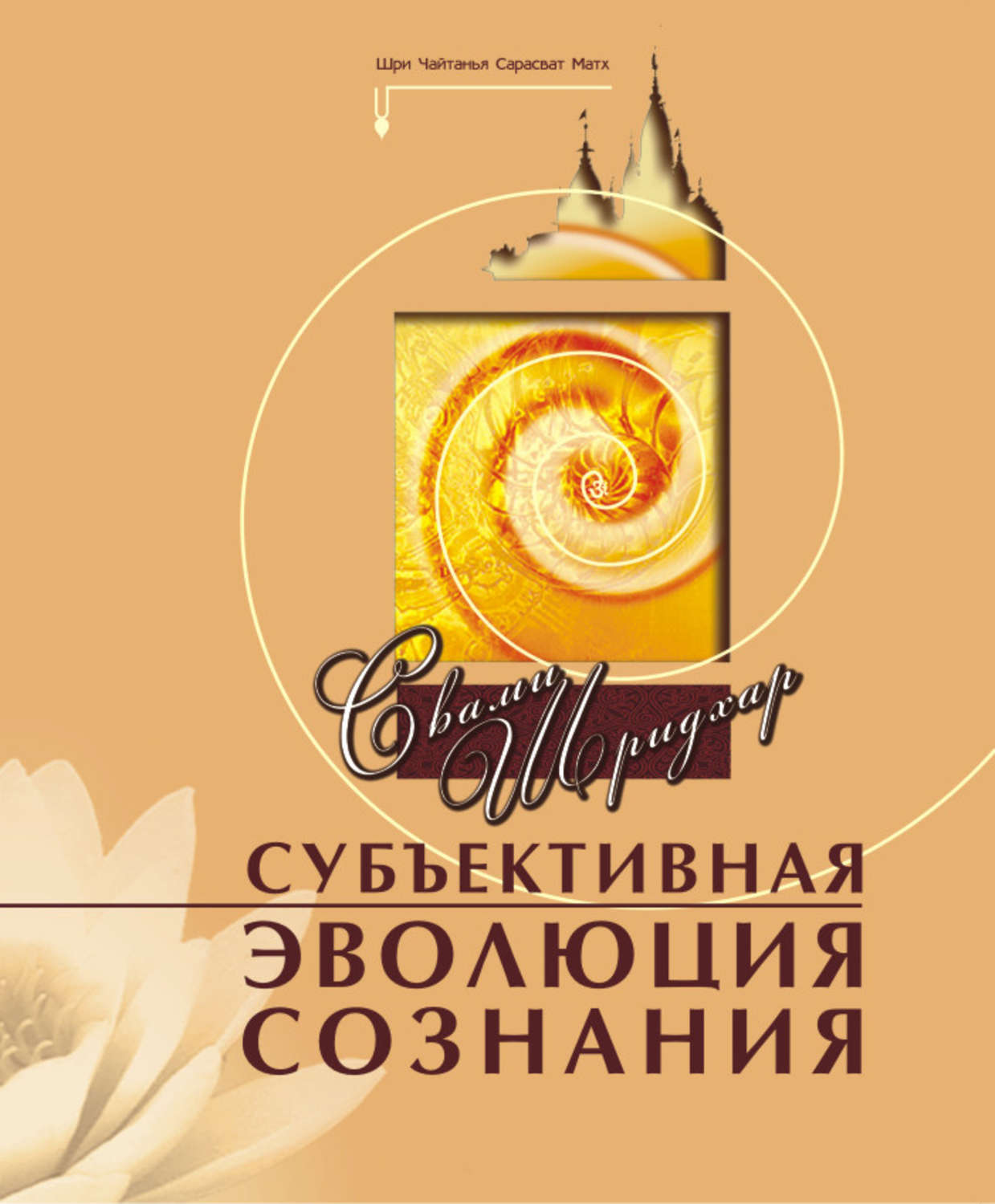 Обложка книги «Субъективная эволюция сознания»