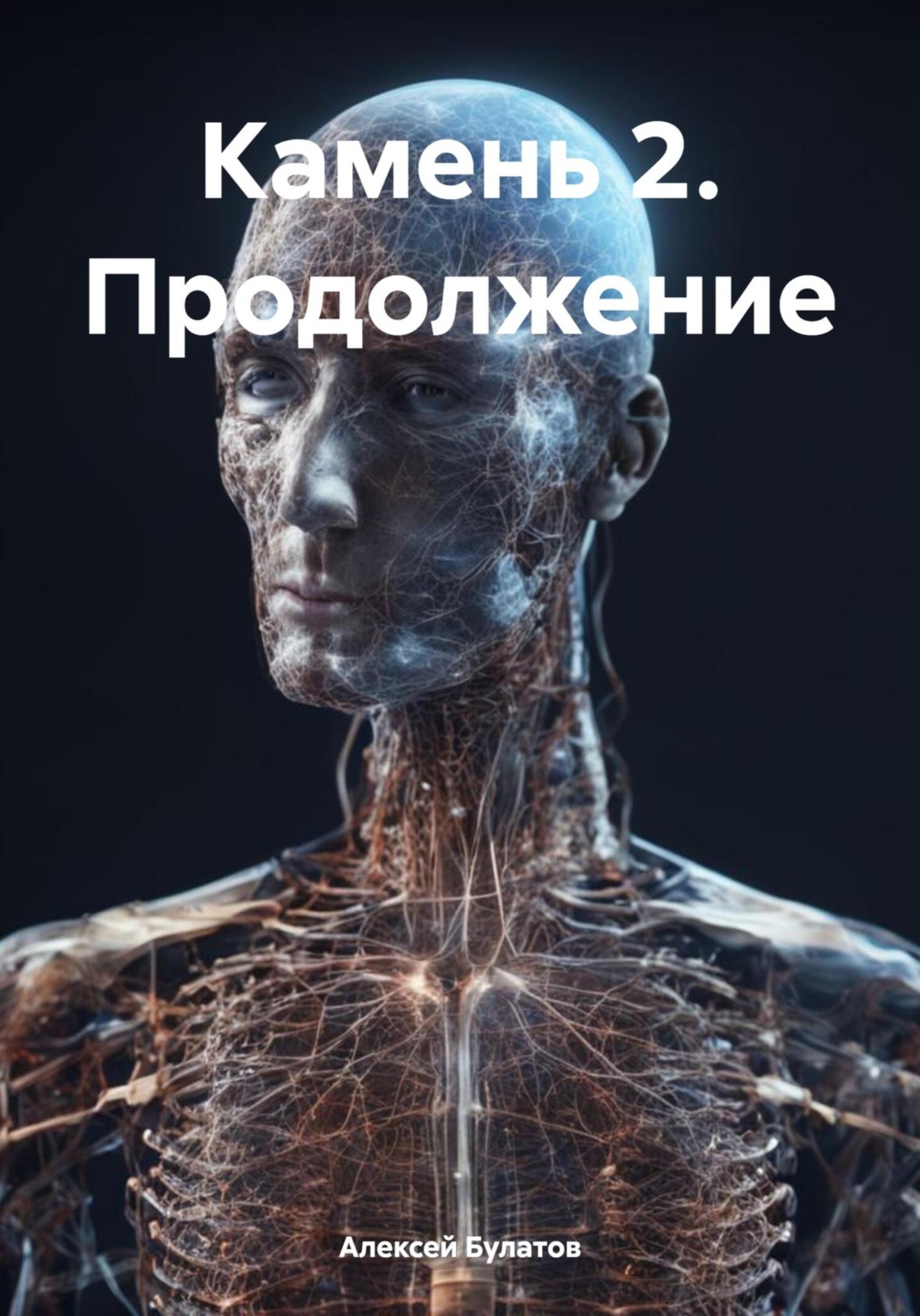 Обложка книги «Камень 2. Продолжение»