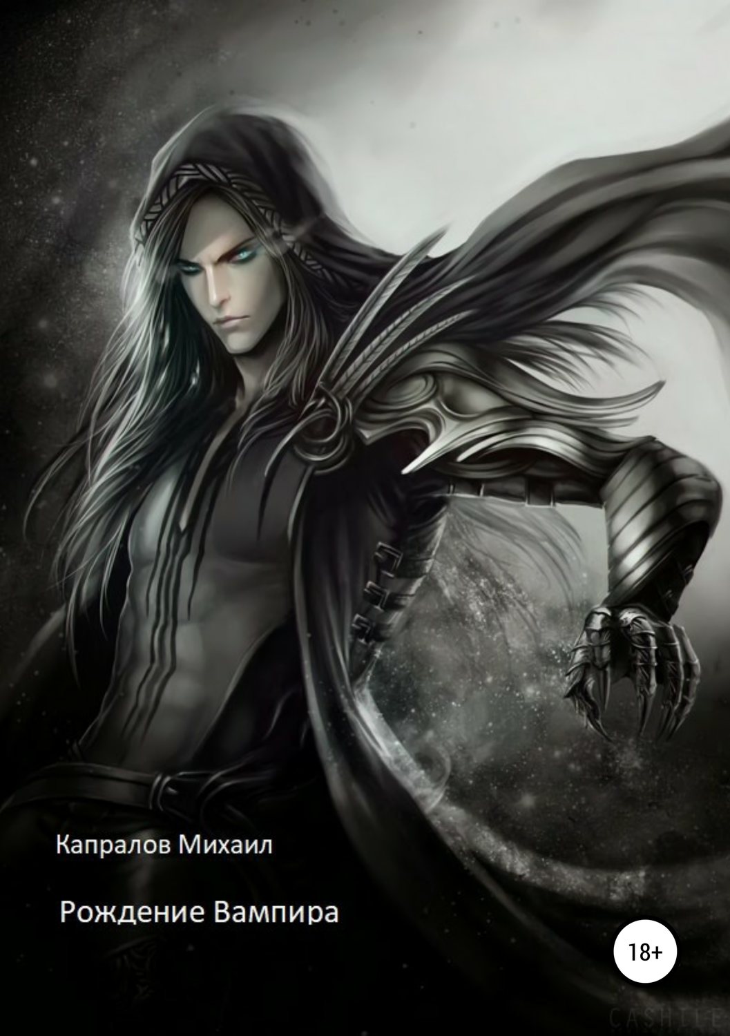Обложка книги «Рождение вампира»