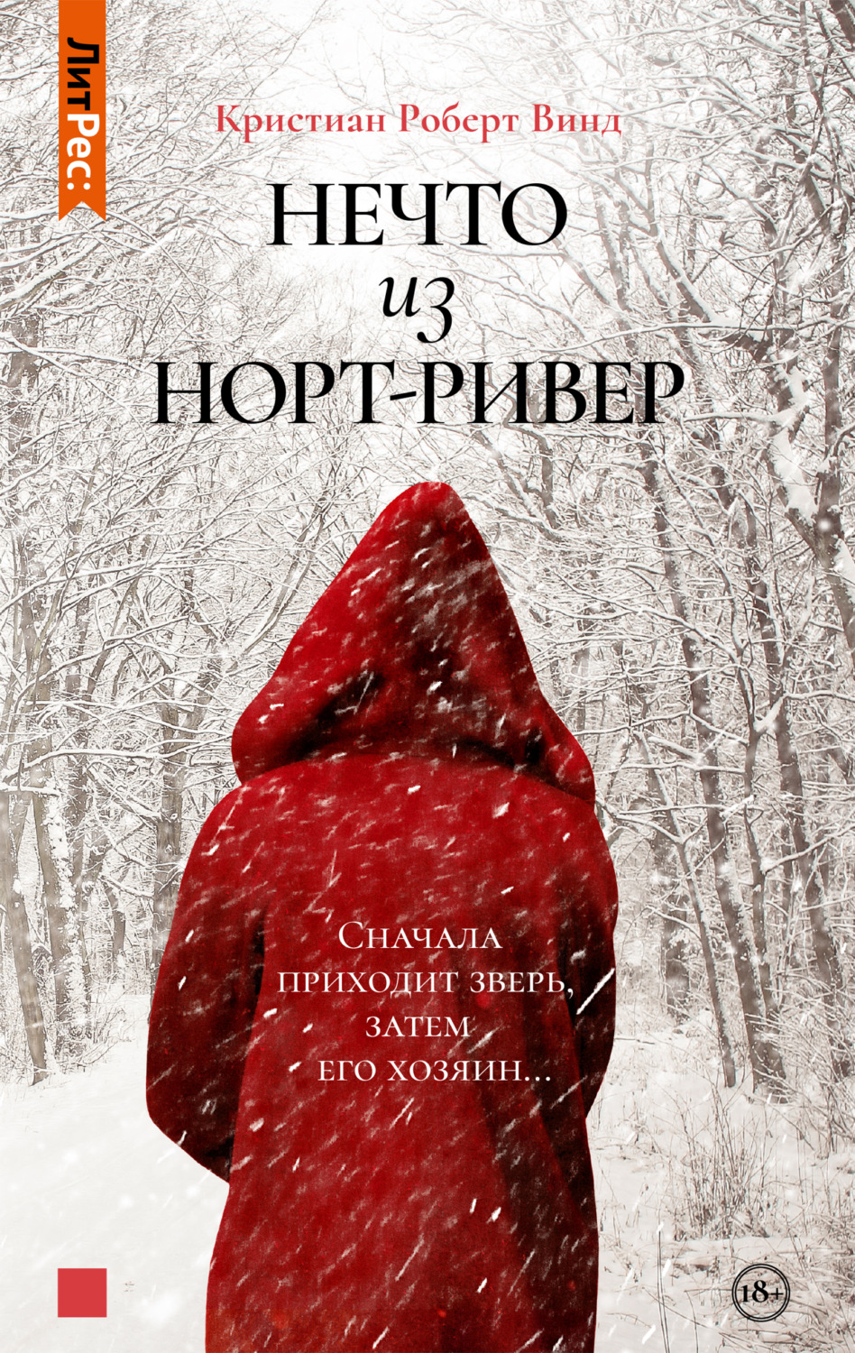 Обложка книги «Нечто из Норт Ривер»