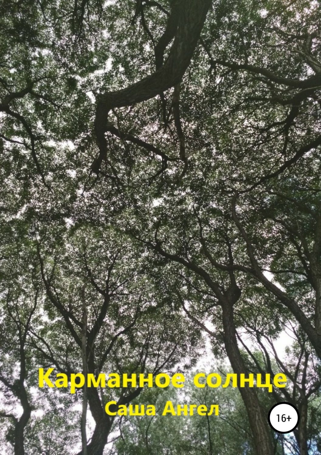 Обложка книги «Карманное солнце»