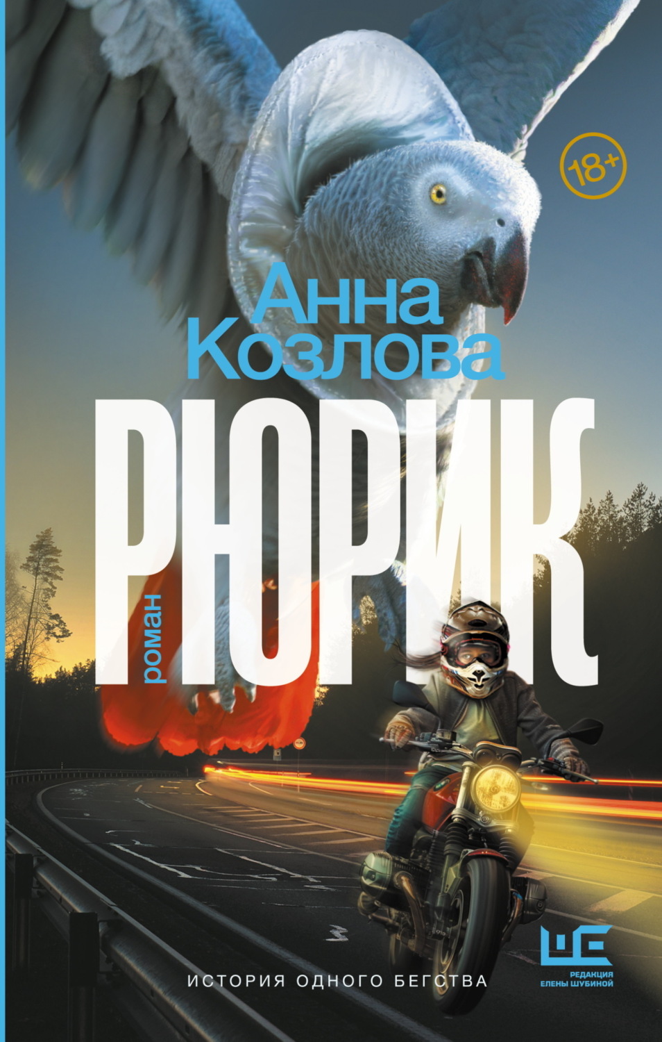 Обложка книги «Рюрик»