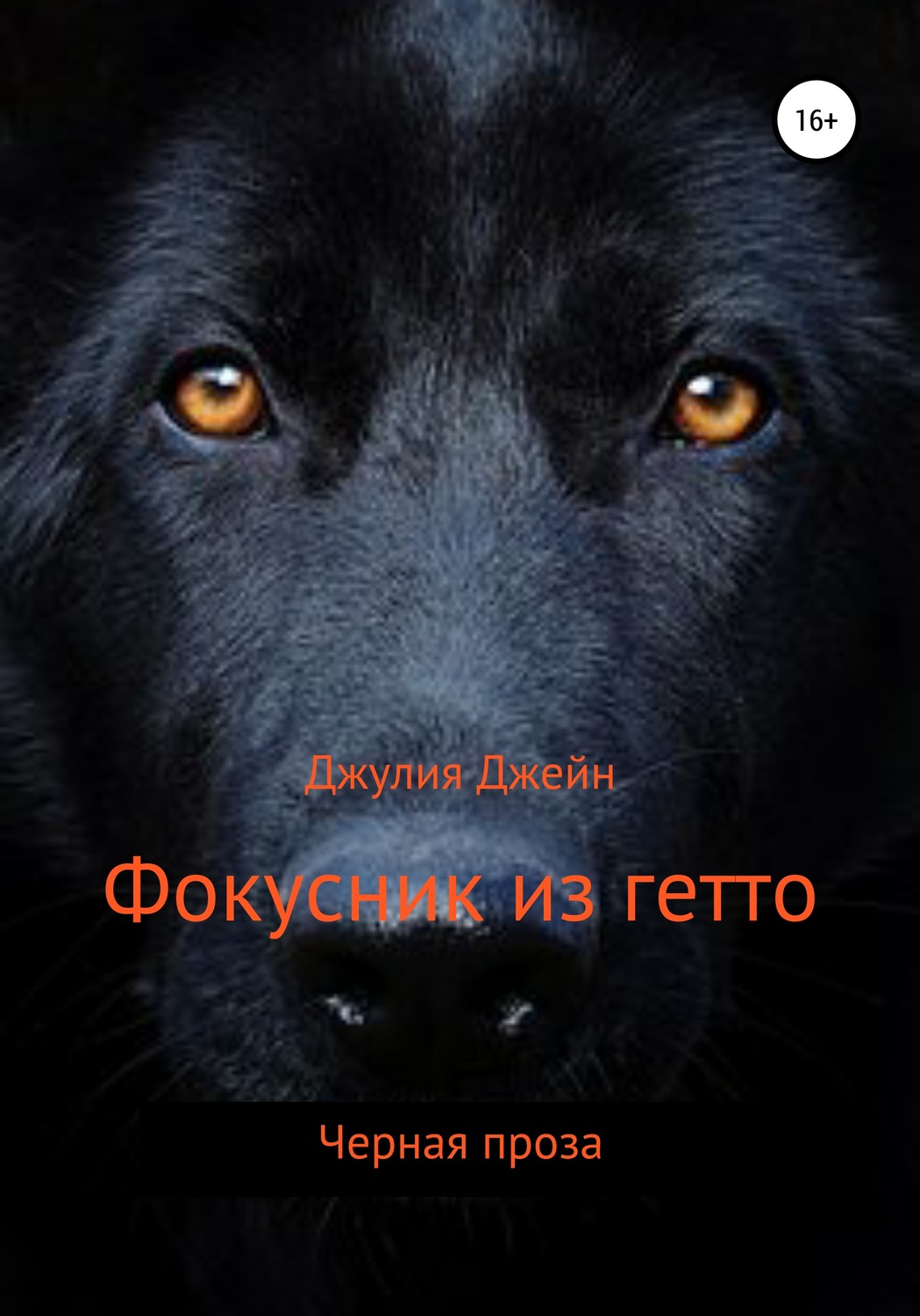 Обложка книги «Фокусник из гетто»
