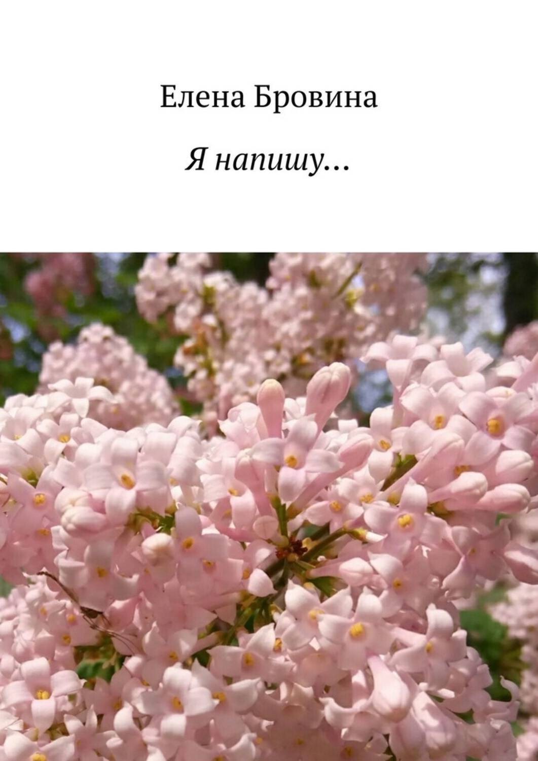 Обложка книги «Я напишу…»