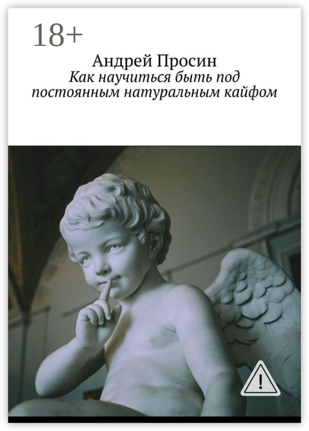 Обложка книги «Как научиться быть под постоянным натуральным кайфом»