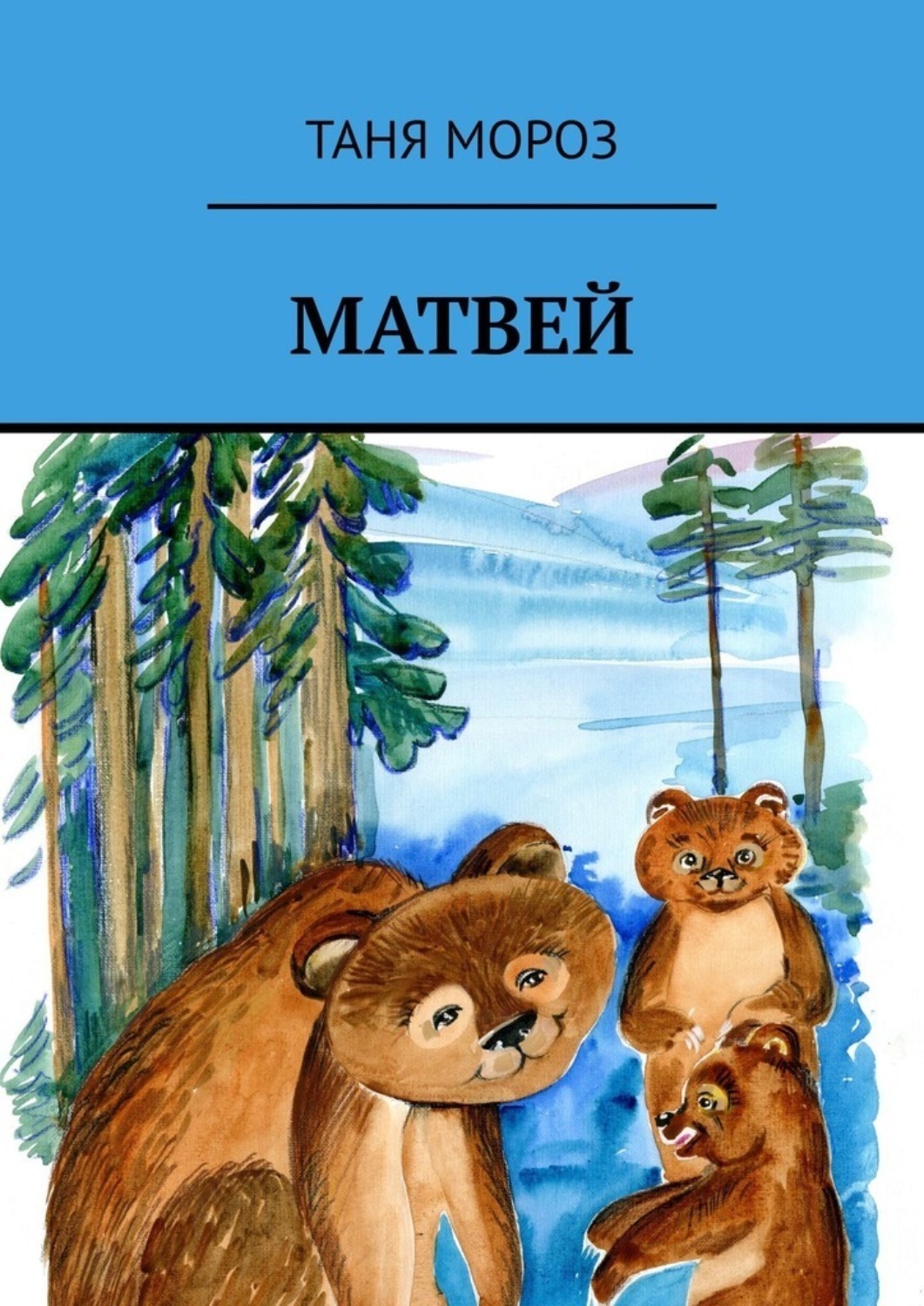 Обложка книги «Матвей. Правдивые сказочные истории, потому что взаправду случились, а Фоме неверующему за сказку покажутся!»