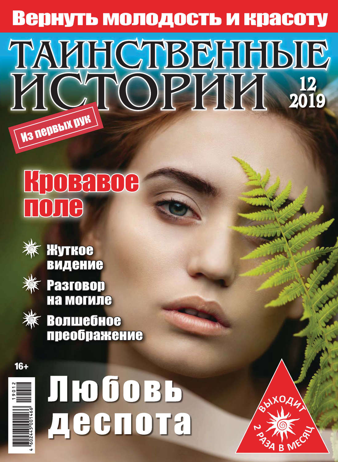 Обложка книги «Таинственные истории №12/2019»