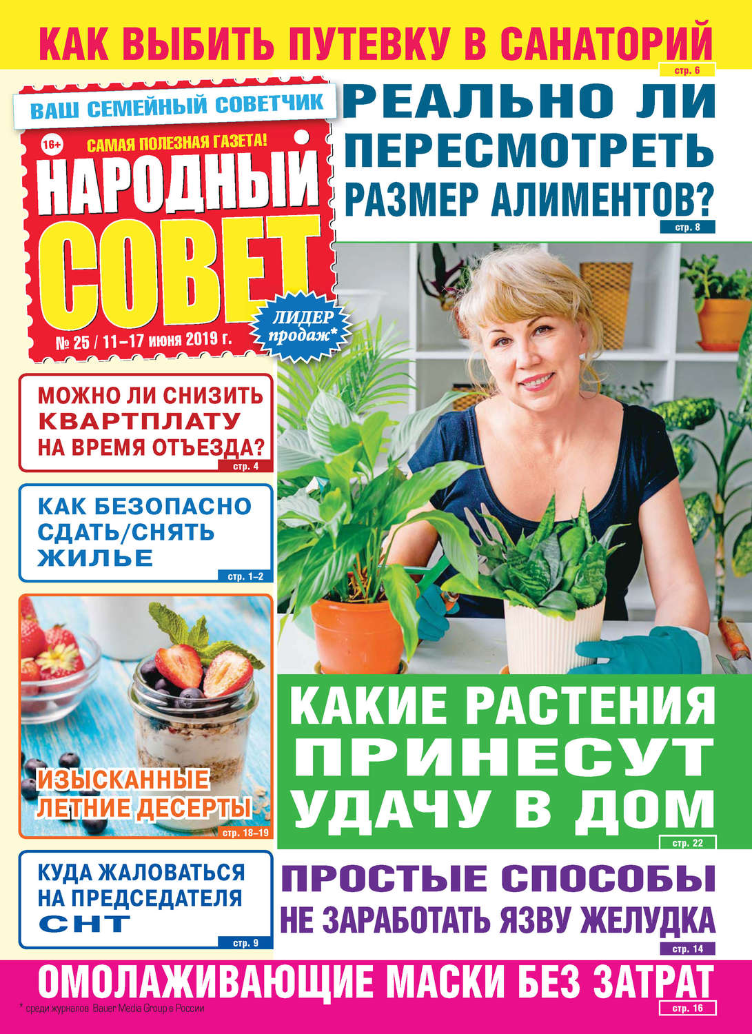 Обложка книги «Народный совет №25/2019»