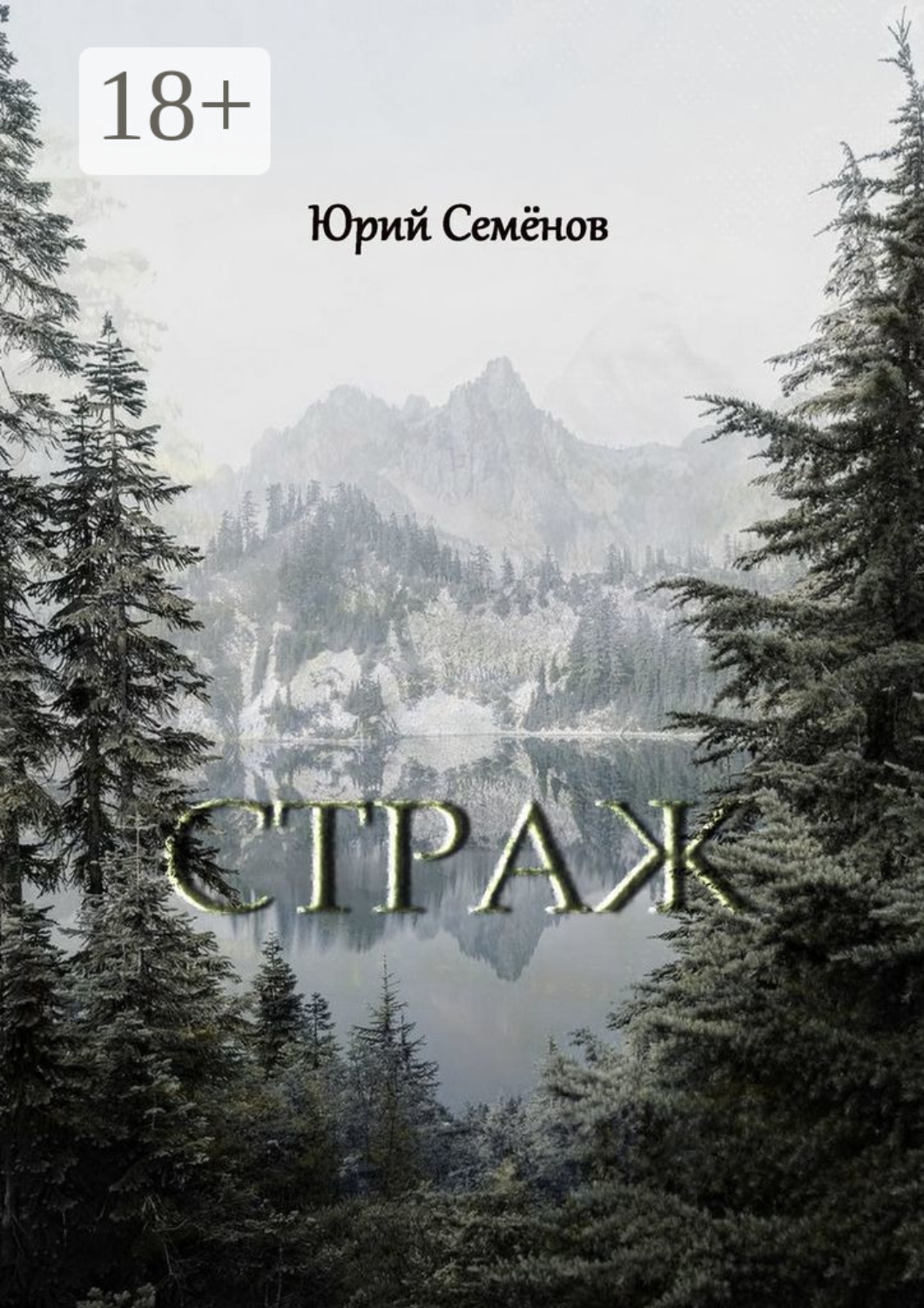 Обложка книги «Страж»
