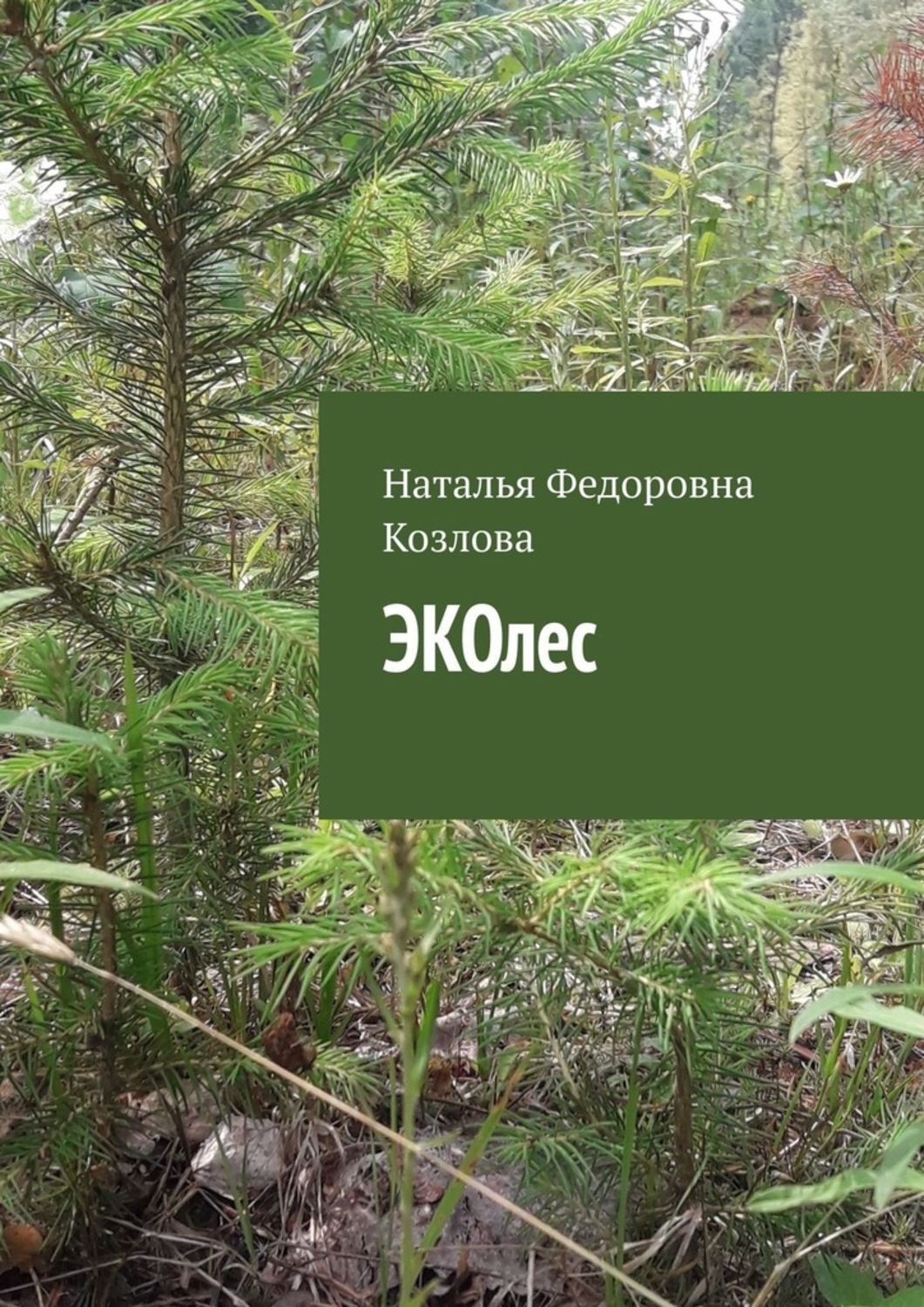 Обложка книги «ЭКОлес»