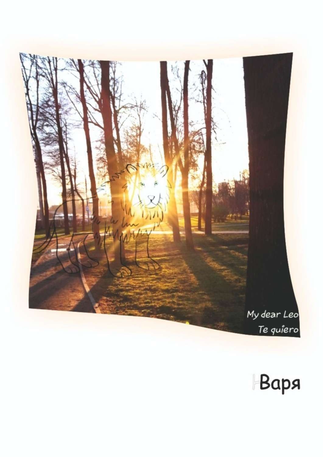 Обложка книги «My dear Leo, te quiero»