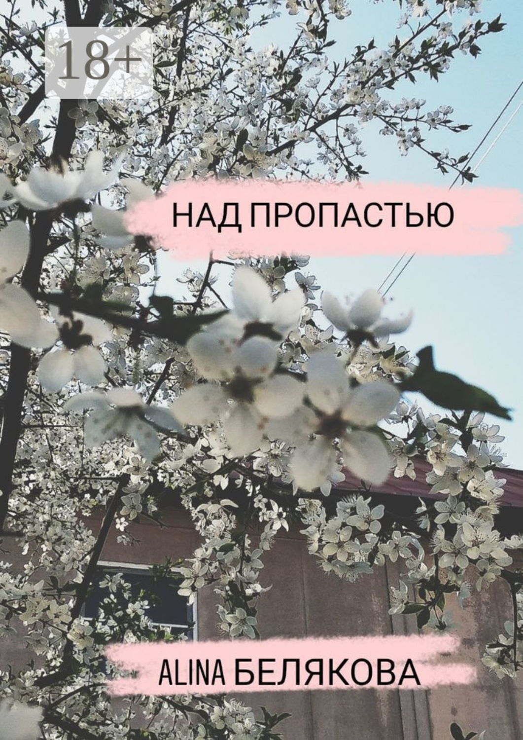 Обложка книги «Над пропастью»