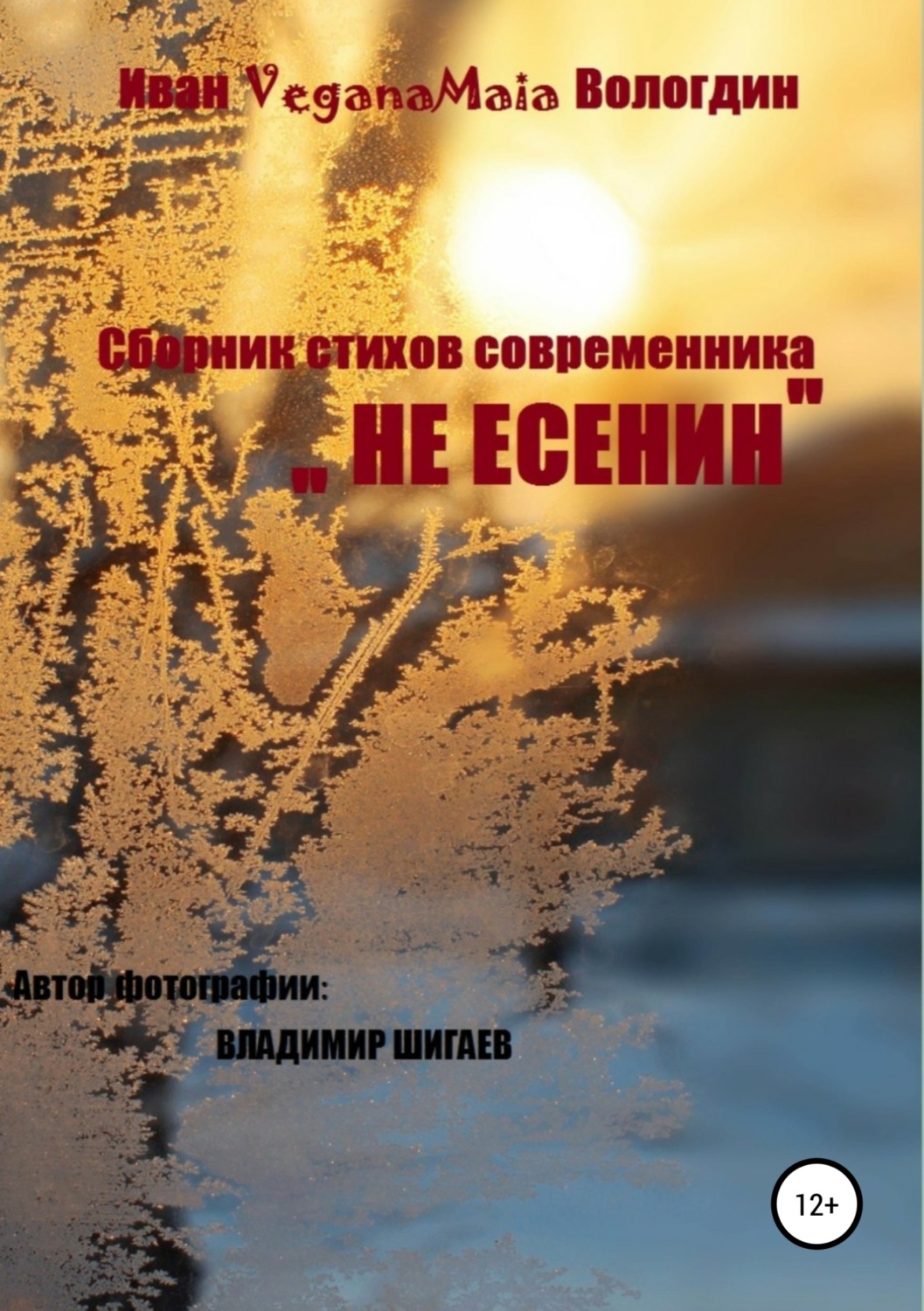 Обложка книги «Не Есенин»