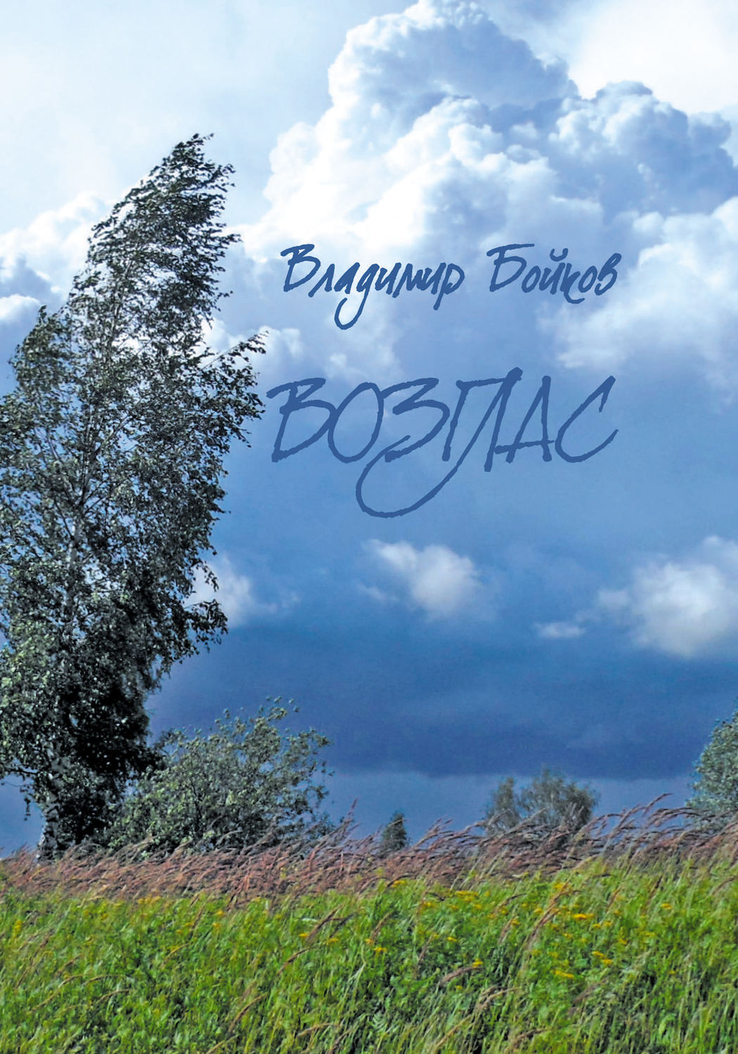 Обложка книги «Возглас»
