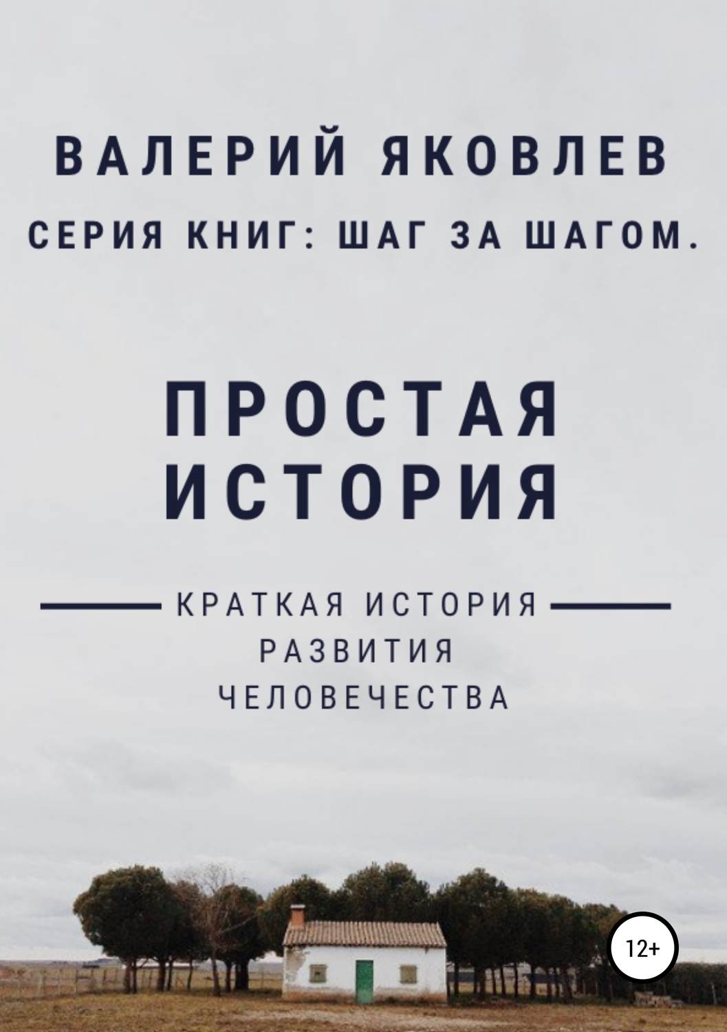 Обложка книги «Простая история»