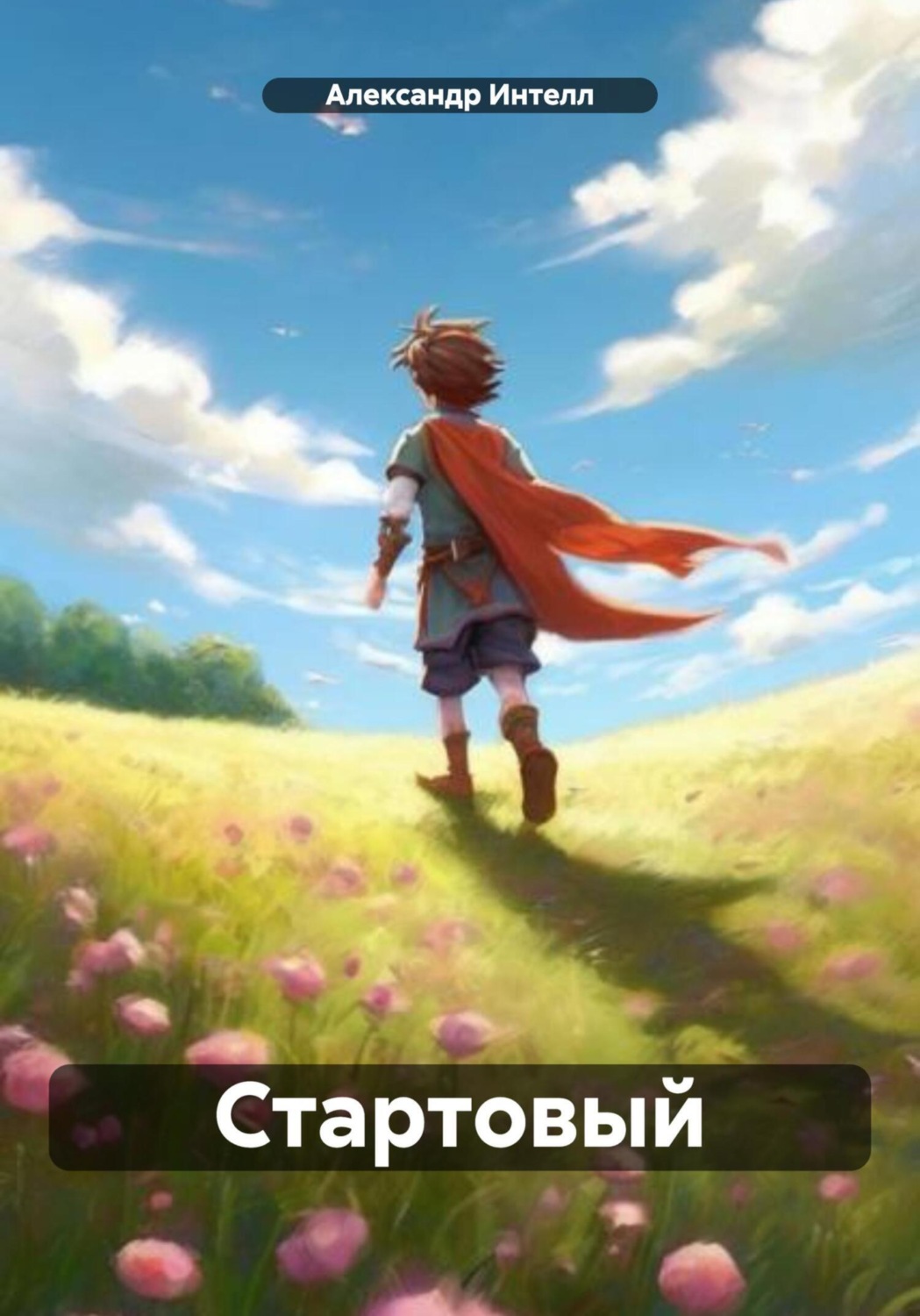 Обложка книги «Стартовый»