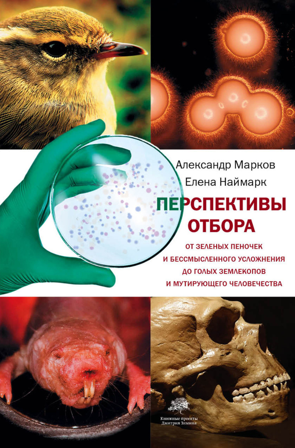 Обложка книги «Перспективы отбора»