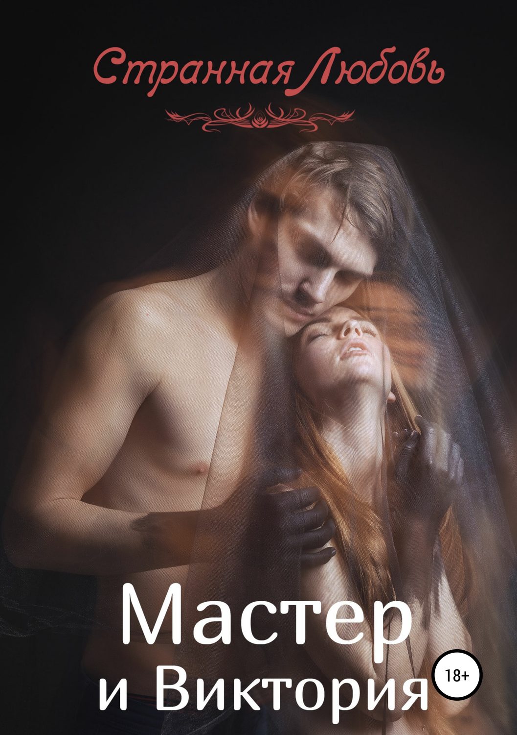 Обложка книги «Мастер и Виктория»