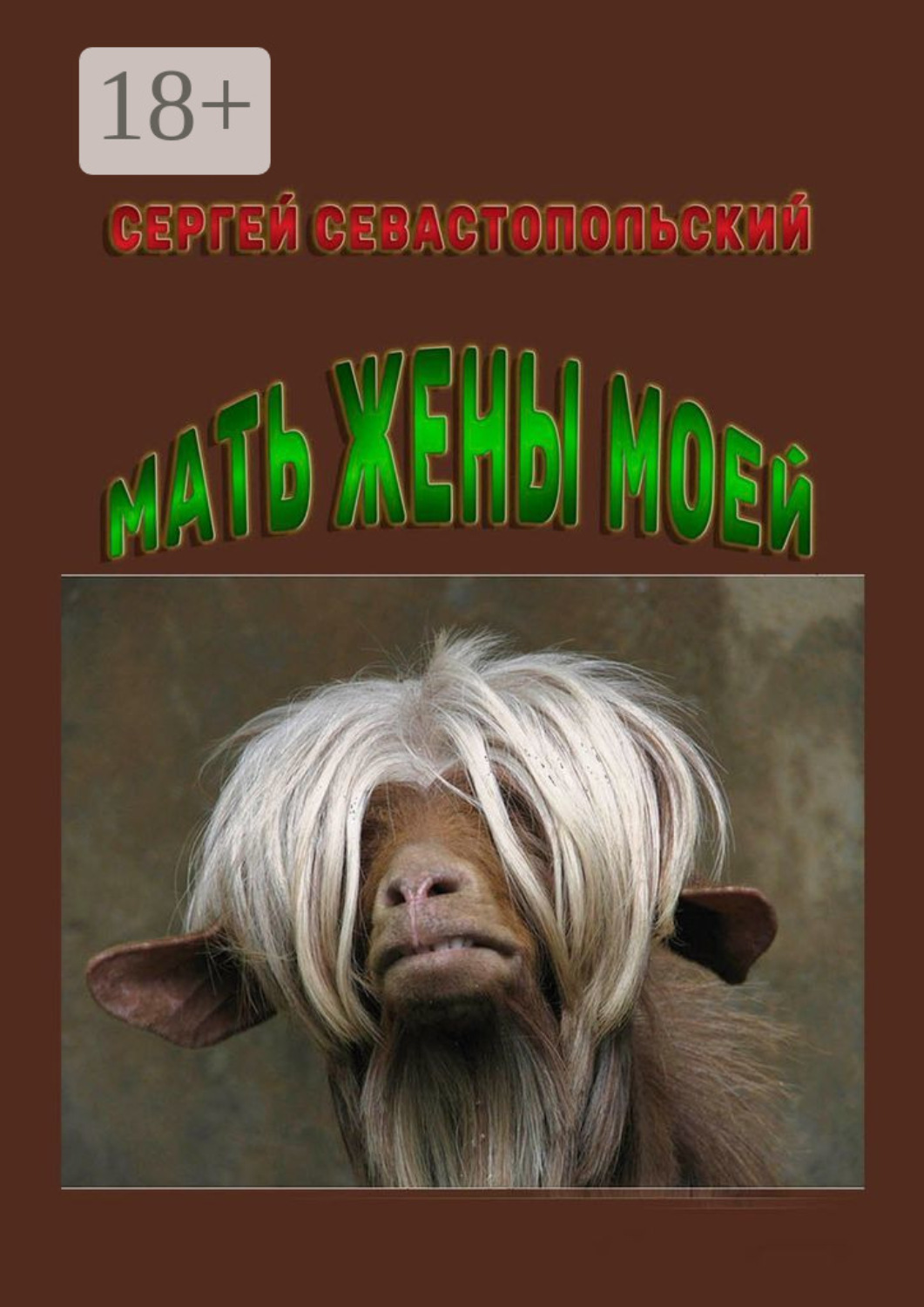 Обложка книги «Мать жены моей»