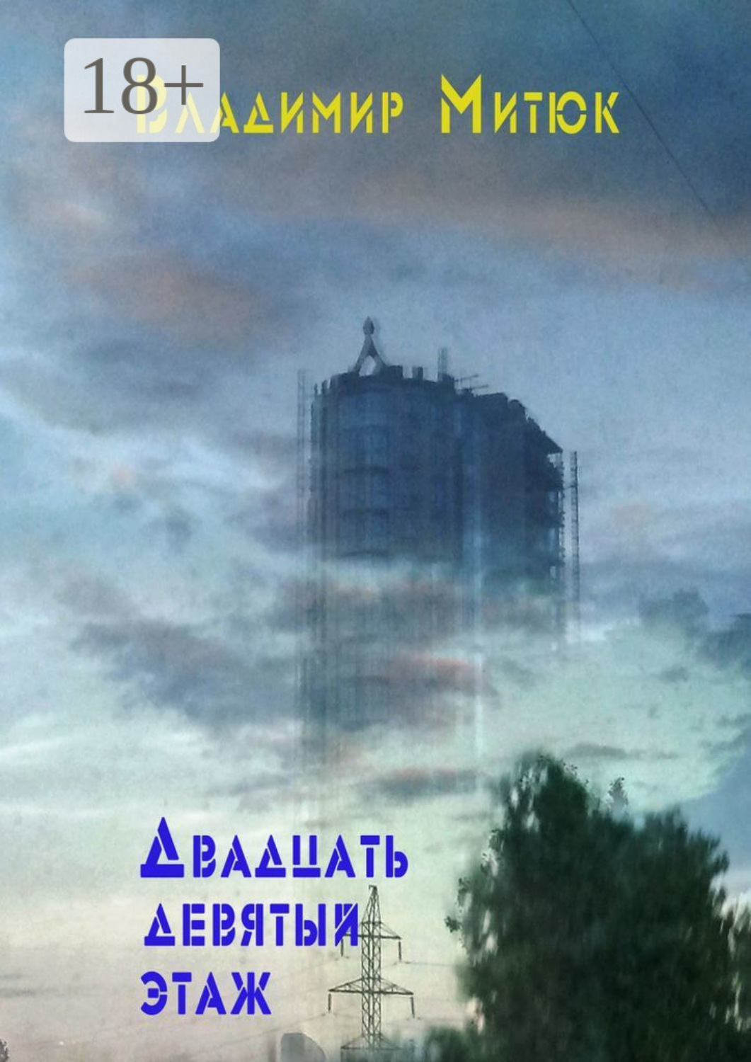 Обложка книги «Двадцать девятый этаж»