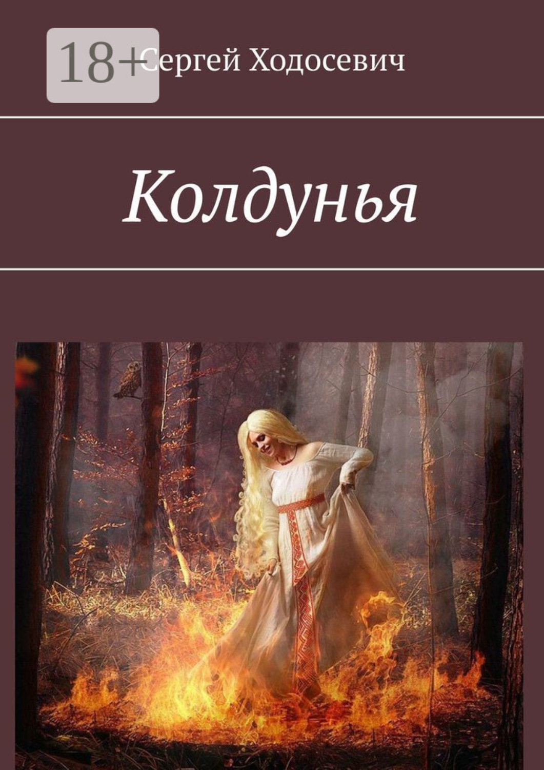 Обложка книги «Колдунья»