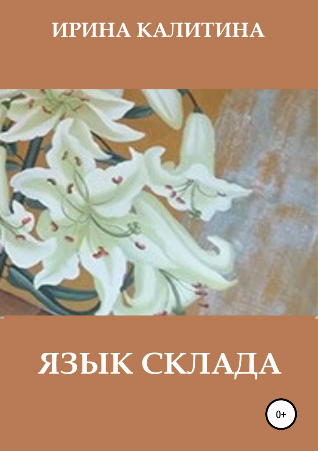 Обложка книги «Язык склада»