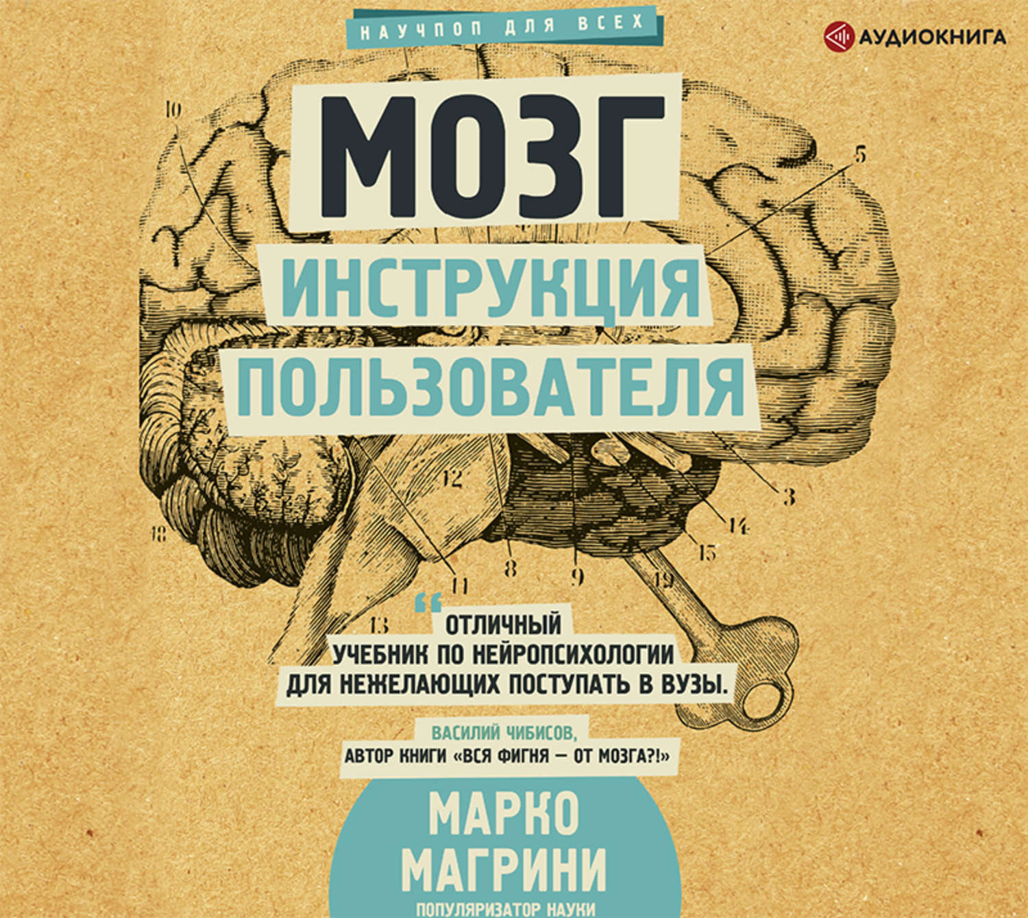 Обложка книги «Мозг. Инструкция пользователя»