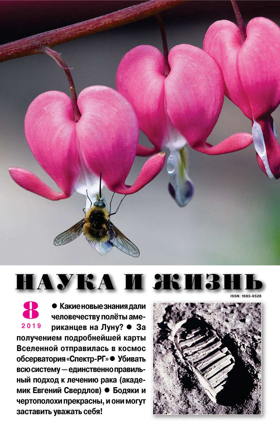 Обложка книги «Наука и жизнь №08/2019»