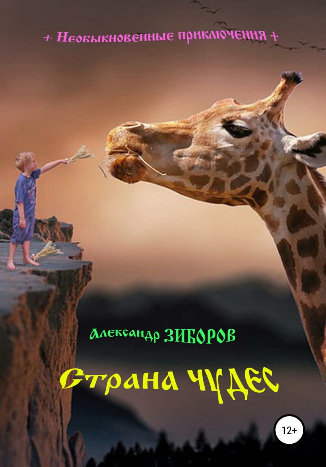 Обложка книги «Страна чудес»